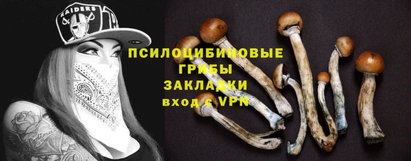 mix Надым