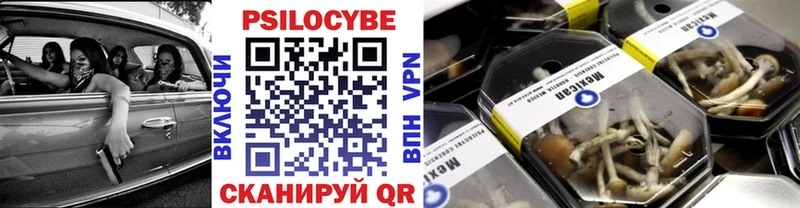 что такое   Шебекино  кракен ONION  Галлюциногенные грибы ЛСД 